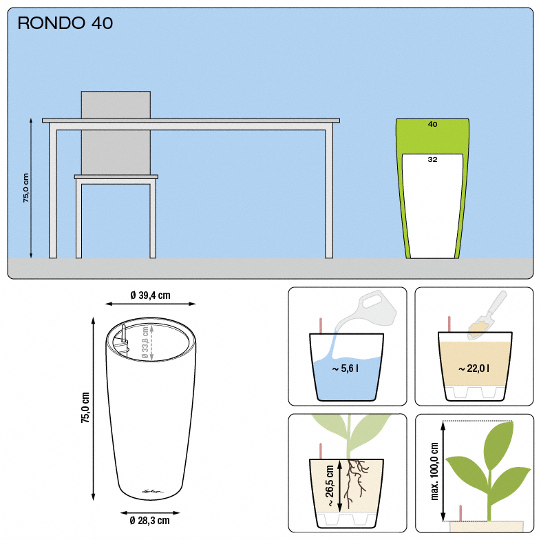 office plants